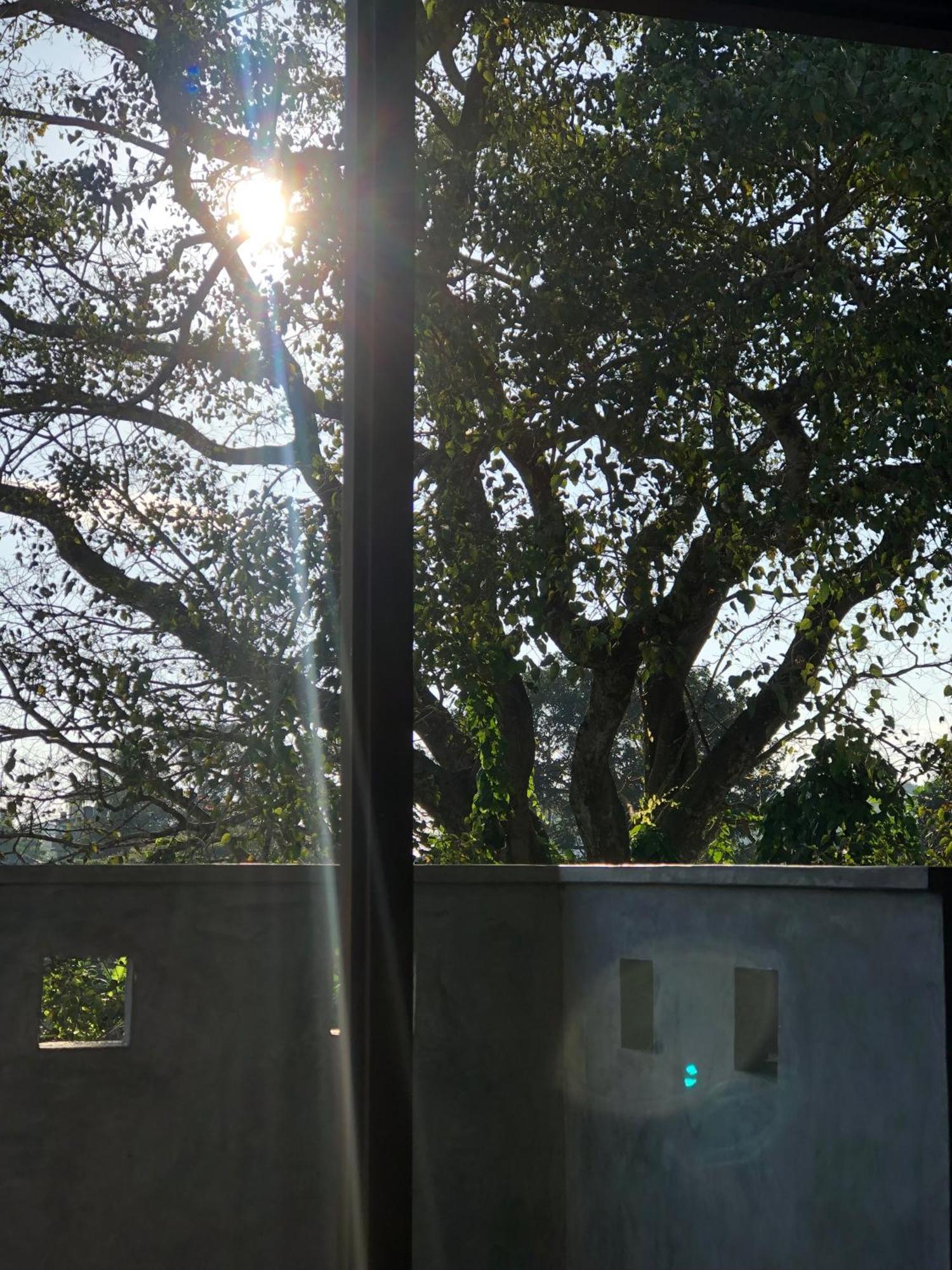 Senarathna Guest House เวลิกามา ภายนอก รูปภาพ